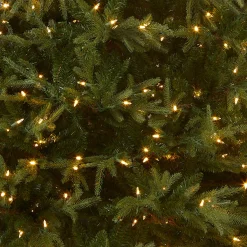 Outlet National Tree Company 6 ft. Pre-Lit Fraser Grande with Dual Color LED Lights