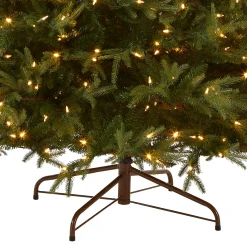Outlet National Tree Company 6 ft. Pre-Lit Fraser Grande with Dual Color LED Lights