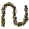 Online National Tree Company 9 ft. Pre-Lit Frosted Berry Garland with Clear Lights