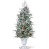 National Tree Company 4 ft. Pre-Lit Frosted Mountain Spruce Tree with Clear Lights