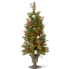 Clearance National Tree Company 4 ft. Pre-Lit Frosted Pine Berry Tree with Clear Lights