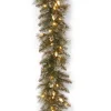 Clearance National Tree Company 9 ft. Pre-Lit Glittery Bristle Pine Garland with Warm White LED Lights