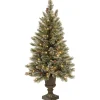 National Tree Company 4 ft. Pre-Lit Glittery Bristle Tree with Clear Lights