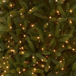 Discount National Tree Company 7.5 ft. Pre-Lit Grande Fir Medium Tree with Clear Lights