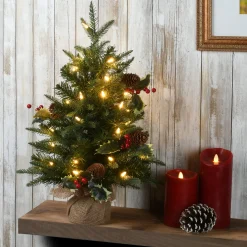 Hot National Tree Company 2 ft. Pre-Lit Happy Hill Pine Tree with LED Lights