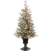 Discount National Tree Company 4 ft. Pre-Lit Iceland Fir Tree with Clear Lights