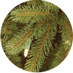 Clearance National Tree Company 7.5 ft. Pre-Lit Jersey Fraser Fir Tree with Clear Lights