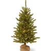 Online National Tree Company 4 ft. Pre-Lit Kensington Fir Tree in a Burlap Sack with Clear Lights