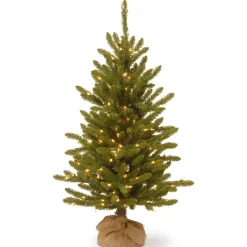Online National Tree Company 4 ft. Pre-Lit Kensington Fir Tree in a Burlap Sack with Clear Lights