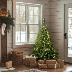 Outlet National Tree Company 4 ft. Pre-Lit Kincaid Spruce Tree with Clear Lights