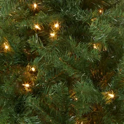 Outlet National Tree Company 4 ft. Pre-Lit Kincaid Spruce Tree with Clear Lights