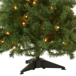 Outlet National Tree Company 4 ft. Pre-Lit Kincaid Spruce Tree with Clear Lights