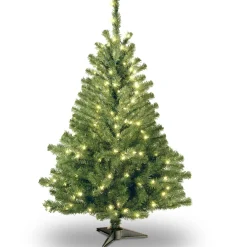 Outlet National Tree Company 4 ft. Pre-Lit Kincaid Spruce Tree with Clear Lights