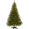 Online National Tree Company 6 ft. Pre-Lit Kincaid Spruce Tree with Clear Lights
