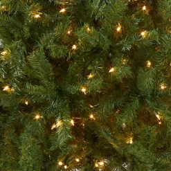Online National Tree Company 6 ft. Pre-Lit Kincaid Spruce Tree with Clear Lights