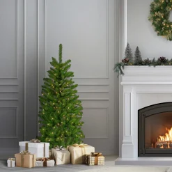 Online National Tree Company 4.5 ft. Pre-Lit Kingswood Fir Pencil Tree with Clear Lights