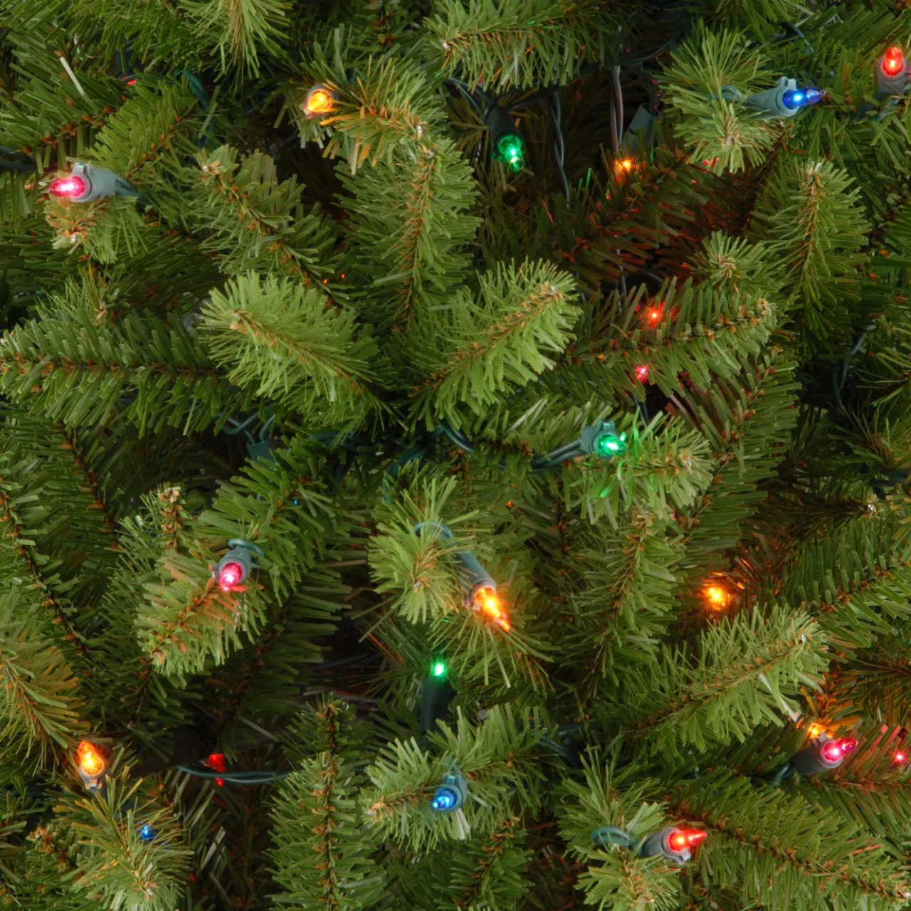 Hot National Tree Company 4.5 ft. Pre-Lit Kingswood Fir Pencil Tree with Multicolor Lights