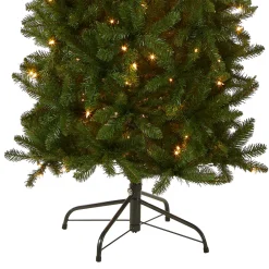 Hot National Tree Company 6.5 ft. Pre-Lit Kingswood Fir Pencil Tree with Clear Lights