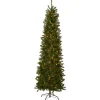 National Tree Company 6 ft. Pre-Lit Kingswood Fir Pencil Tree with Clear Lights