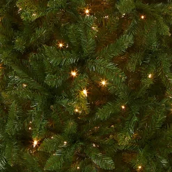National Tree Company 6 ft. Pre-Lit Kingswood Fir Pencil Tree with Clear Lights