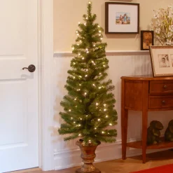 Clearance National Tree Company 5 ft. Pre-Lit Montclair Spruce Slim Tree with Clear Lights