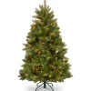 Discount National Tree Company 5 ft. Pre-Lit Newberry Spruce Tree with Clear Lights