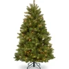 National Tree Company 5 ft. Pre-Lit Newberry Spruce Tree with Dual Color LED Lights