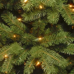 National Tree Company 5 ft. Pre-Lit Newberry Spruce Tree with Dual Color LED Lights