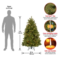 National Tree Company 5 ft. Pre-Lit Newberry Spruce Tree with Dual Color LED Lights