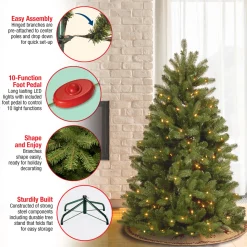 National Tree Company 5 ft. Pre-Lit Newberry Spruce Tree with Dual Color LED Lights