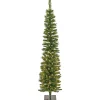 Outlet National Tree Company 6 ft. Pre-Lit Nooksack Fir Pencil Slim Tree with LED Lights