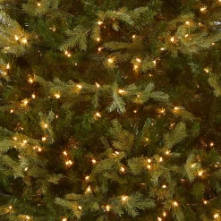 Hot National Tree Company 7.5 ft. Pre-Lit Nordic Spruce Medium Tree with Clear Lights