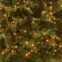 Sale National Tree Company 7.5 ft. Pre-Lit Nordic Spruce Slim Tree with Clear Lights