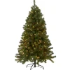 Outlet National Tree Company 5 ft. Pre-Lit North Valley Spruce Tree with Clear Lights