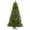 Online National Tree Company 7.5 ft. Pre-Lit Peytom Spruce Tree with Clear Lights