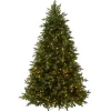 Discount National Tree Company 6.5 ft. Pre-Lit Princeton Fraser Fir Tree with PowerConnect Dual Color LED Lights