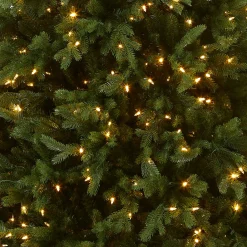 Discount National Tree Company 6.5 ft. Pre-Lit Princeton Fraser Fir Tree with PowerConnect Dual Color LED Lights