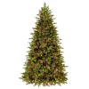 National Tree Company 7.5 ft. Pre-Lit Princeton Fraser Fir Tree with LED Lights