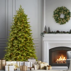Outlet National Tree Company 7.5 ft. Pre-Lit Princeton Fraser Fir Tree with PowerConnect and 800 Dual Color LED Lights