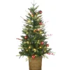 National Tree Company 4 ft. Pre-Lit Scotch Creek Fir Tree with LED Lights