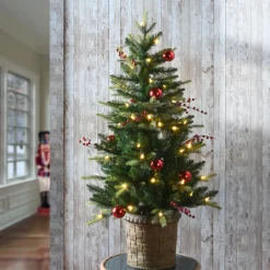 National Tree Company 4 ft. Pre-Lit Scotch Creek Fir Tree with LED Lights