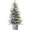 Sale National Tree Company 4.5 ft. Pre-Lit Snowy Alpine Fir Tree with LED Lights