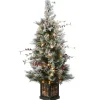 Outlet National Tree Company 4 ft. Pre-Lit Snowy Bedford Pine Tree with Clear Lights