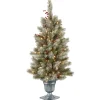 Discount National Tree Company 4 ft. Pre-Lit Snowy Bristle Berry Tree with Clear Lights