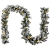 Discount National Tree Company 9 ft. Pre-Lit Snowy Camden Garland with Clear Lights