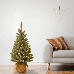 New National Tree Company 3 ft. Pre-Lit Snowy Concolor Fir Tree with LED Lights