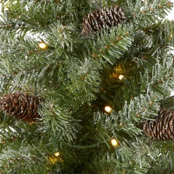 Outlet National Tree Company 2 ft. Pre-Lit Snowy Concolor Fir Tree with LED Lights
