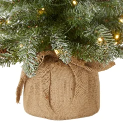 Outlet National Tree Company 2 ft. Pre-Lit Snowy Concolor Fir Tree with LED Lights