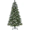 Best National Tree Company 7.5 ft. Pre-Lit Snowy Conconully Tree with LED Lights