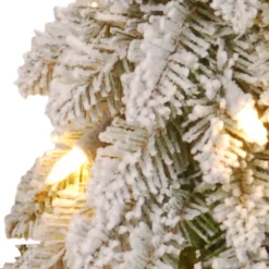 Sale National Tree Company 3 ft. Pre-Lit Snowy Downswept Forest Tree with Clear Lights